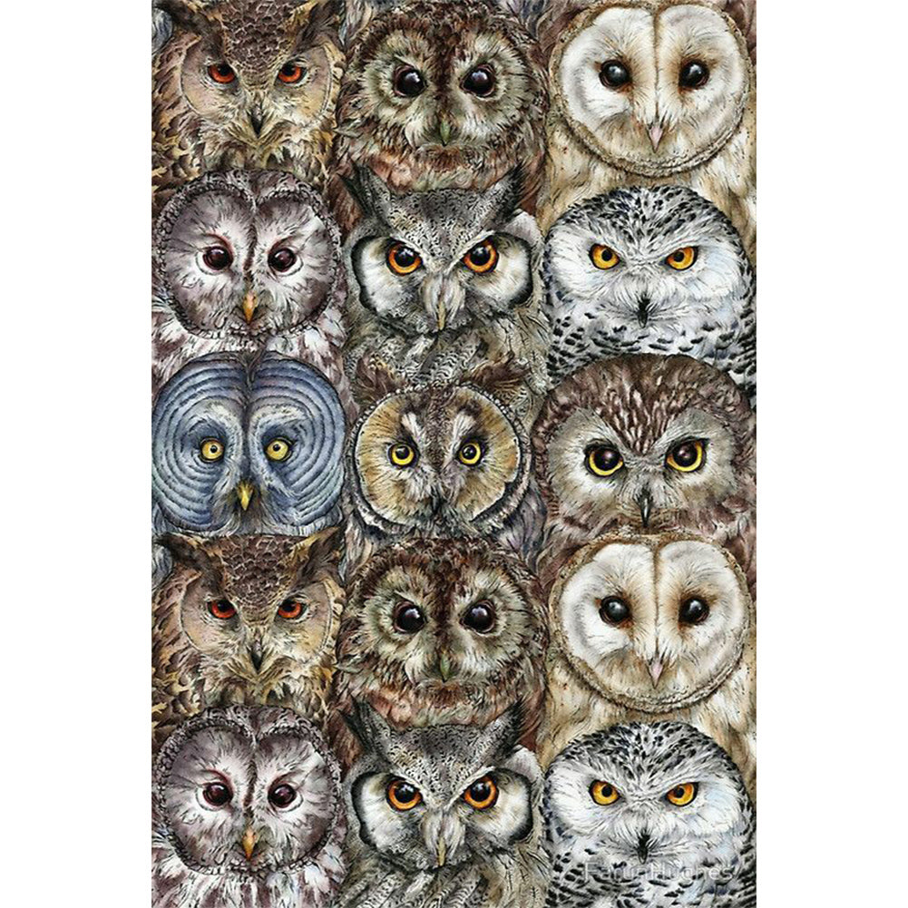 Line Up Owls - Full Round Drill Diamond Painting 40*60CM