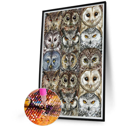 Line Up Owls - Full Round Drill Diamond Painting 40*60CM