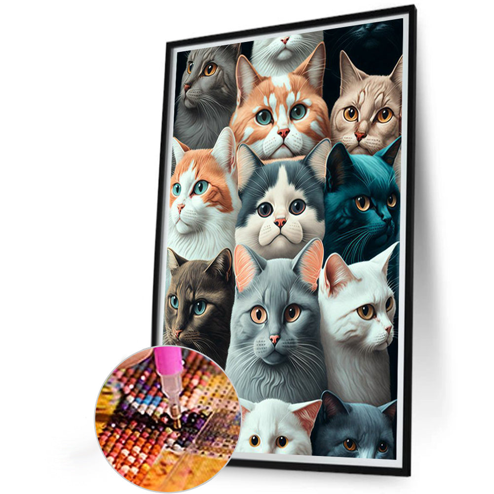 Arrange Cats - Full Round Drill Diamond Painting 40*60CM