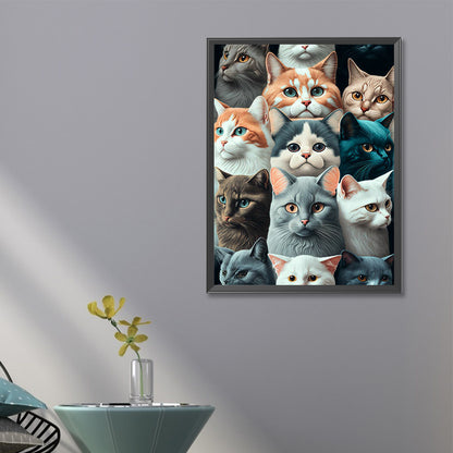 Arrange Cats - Full Round Drill Diamond Painting 40*60CM