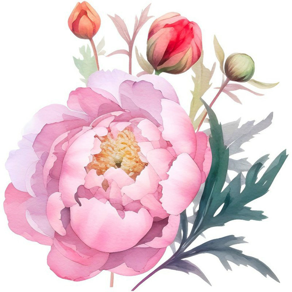 Watercolor Peony Flower - Full Round Drill Diamond Painting 30*30CM