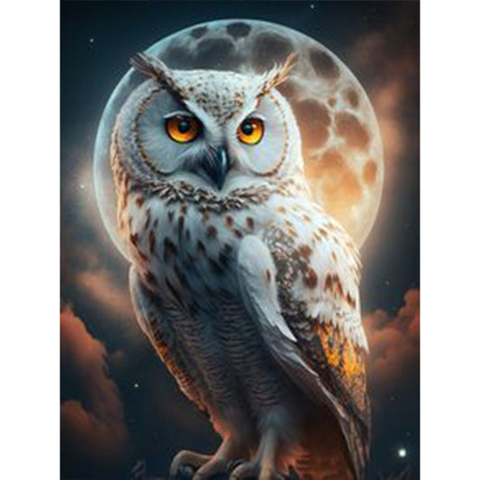 Owl - Full Square Drill Diamond Painting 30*40CM