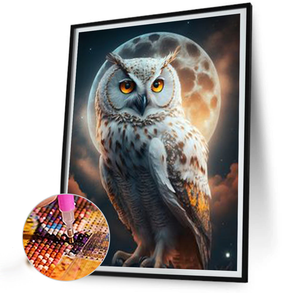 Owl - Full Square Drill Diamond Painting 30*40CM
