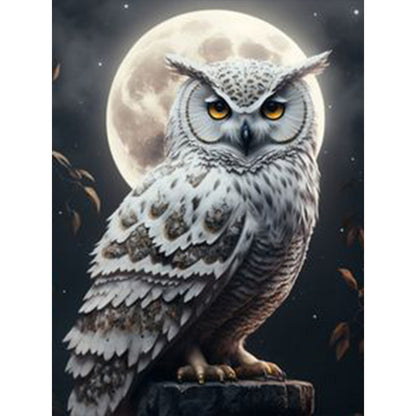 Owl - Full Square Drill Diamond Painting 30*40CM