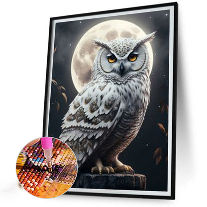 Owl - Full Square Drill Diamond Painting 30*40CM