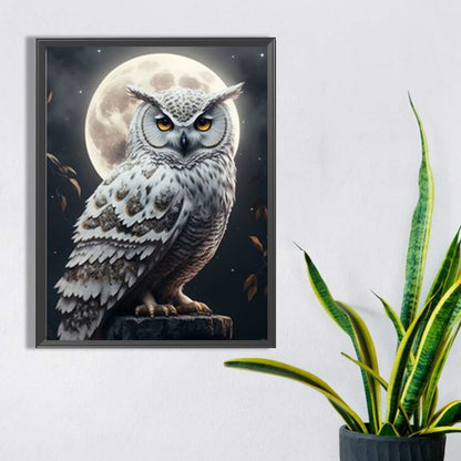 Owl - Full Square Drill Diamond Painting 30*40CM