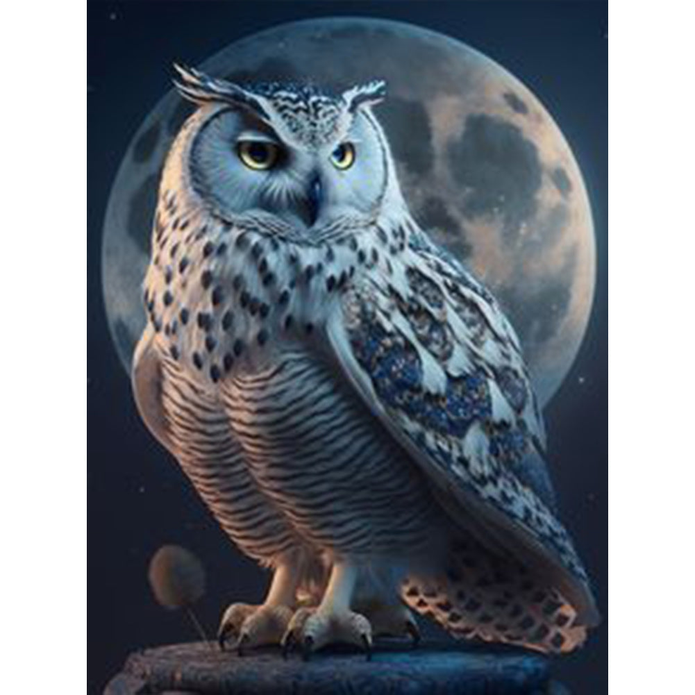 Owl - Full Square Drill Diamond Painting 30*40CM