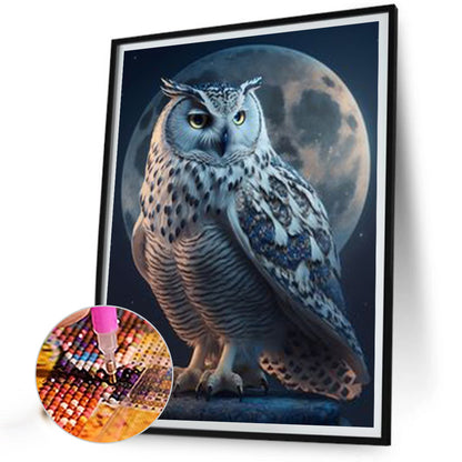 Owl - Full Square Drill Diamond Painting 30*40CM