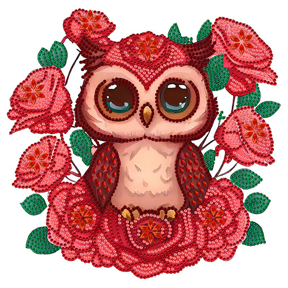 Owl With Flowers - Special Shaped Drill Diamond Painting 30*30CM
