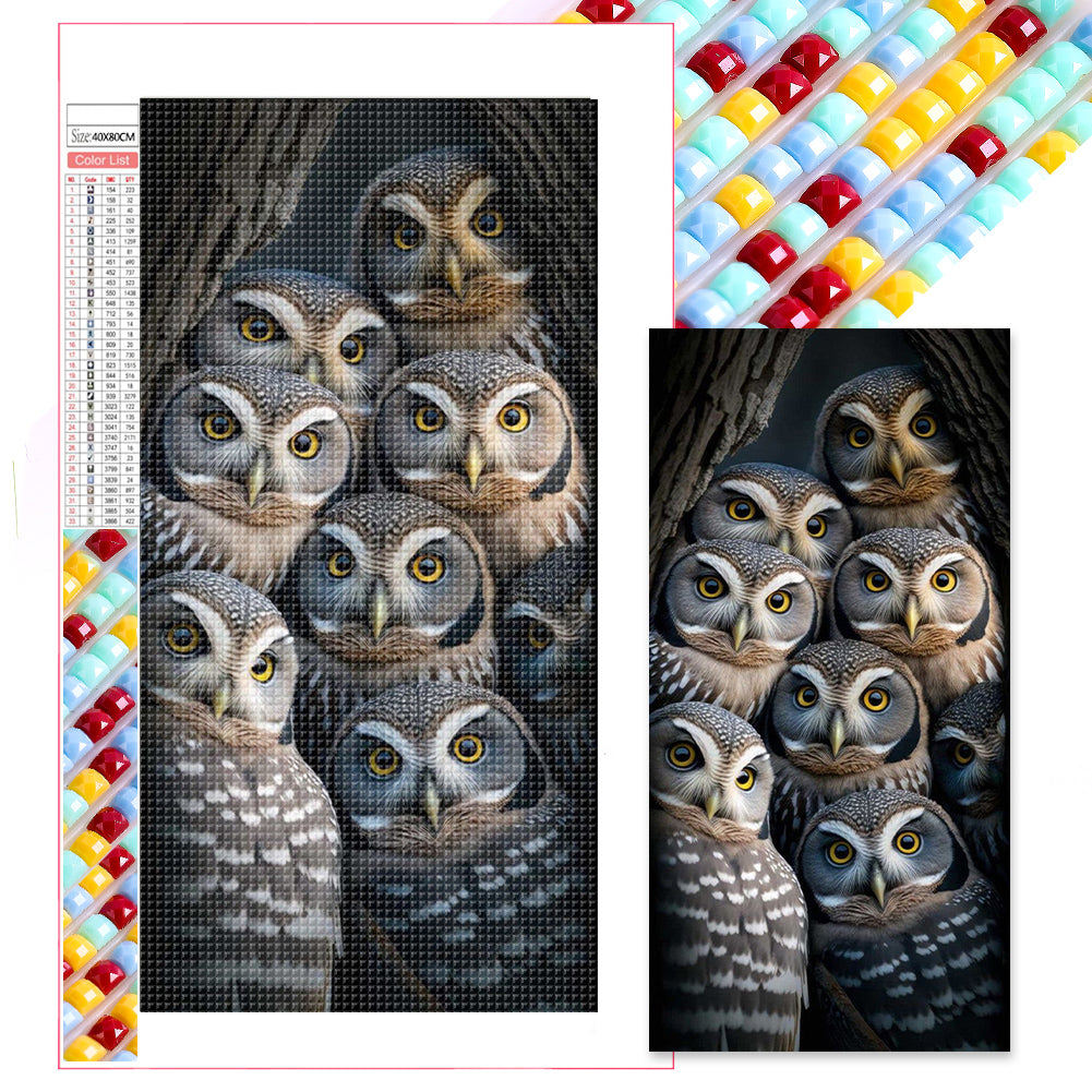 Owl'S Gaze - Full Square Drill Diamond Painting 40*80CM