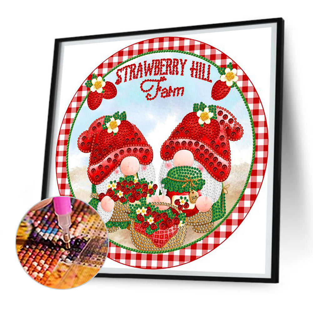 Lei Gnome - Special Shaped Drill Diamond Painting 30*30CM