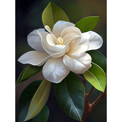 Magnolia - Full Round Drill Diamond Painting 30*40CM