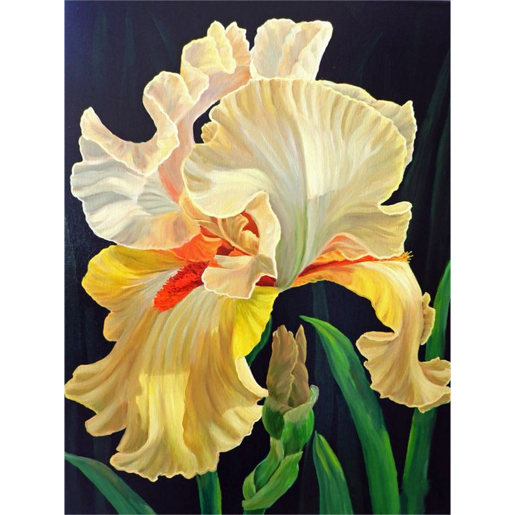 Iris - Full Round Drill Diamond Painting 30*40CM