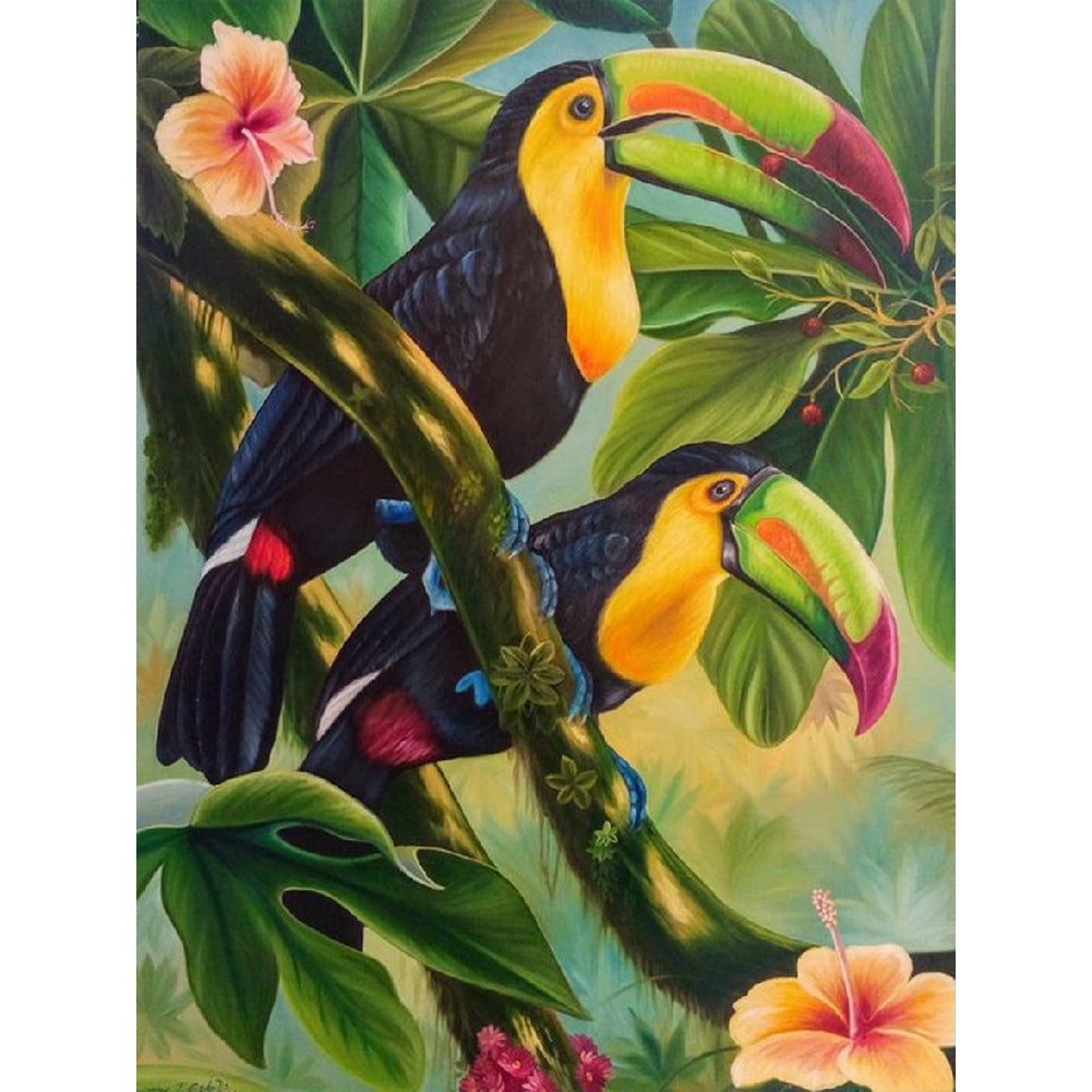 Toucan - Full Round Drill Diamond Painting 30*40CM