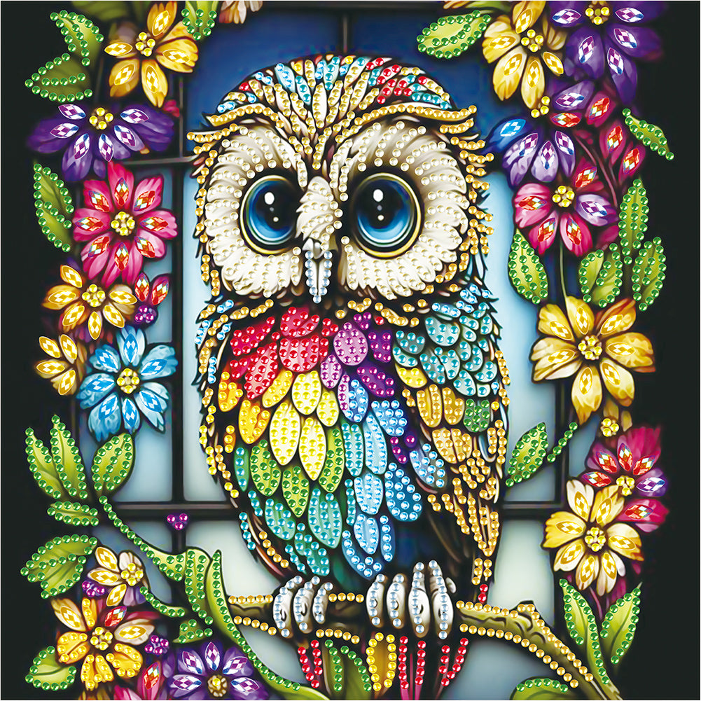 Owl - Special Shaped Drill Diamond Painting 30*30CM