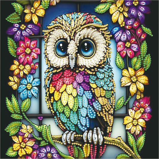 Owl - Special Shaped Drill Diamond Painting 30*30CM