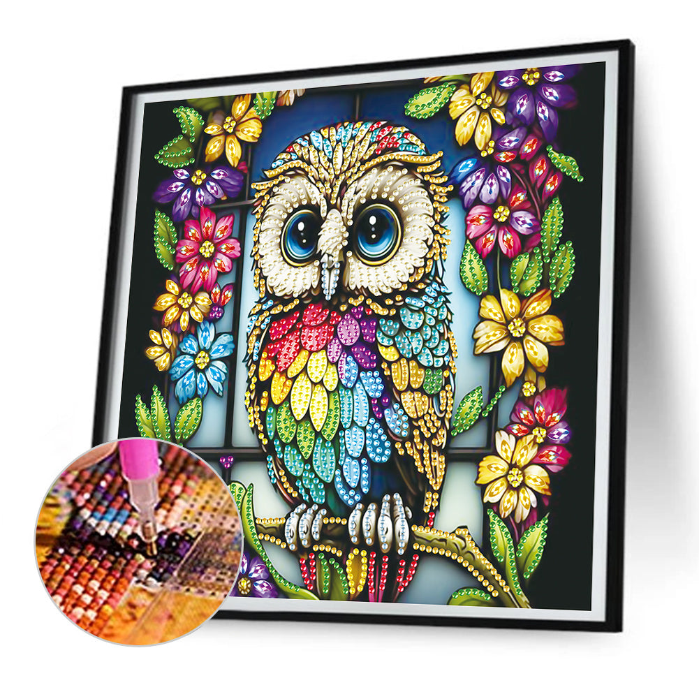 Owl - Special Shaped Drill Diamond Painting 30*30CM