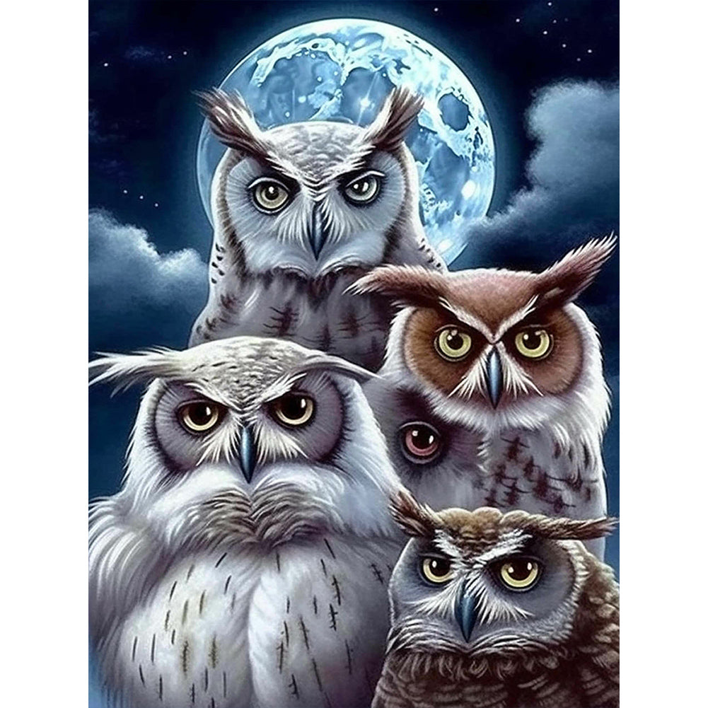 Owl - Full Round Drill Diamond Painting 30*40CM