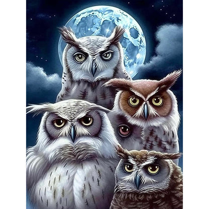 Owl - Full Round Drill Diamond Painting 30*40CM