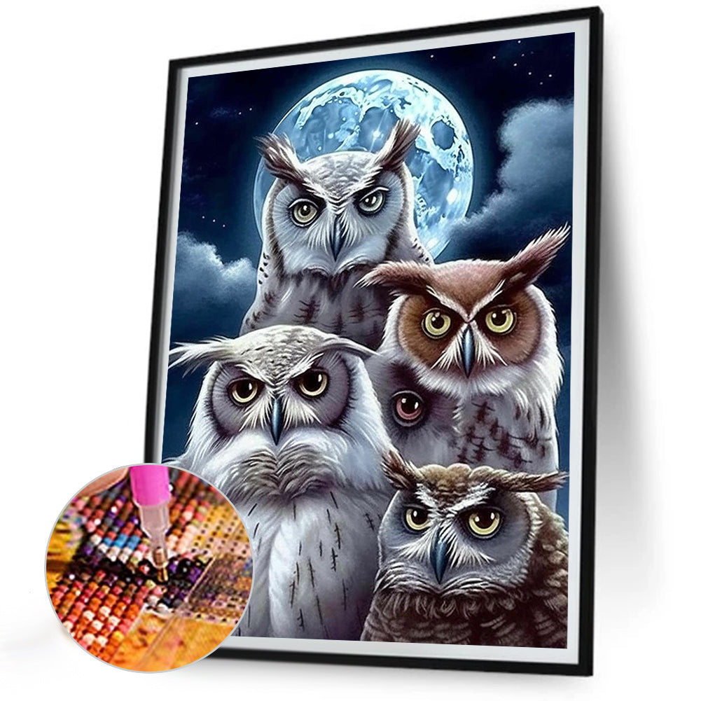 Owl - Full Round Drill Diamond Painting 30*40CM