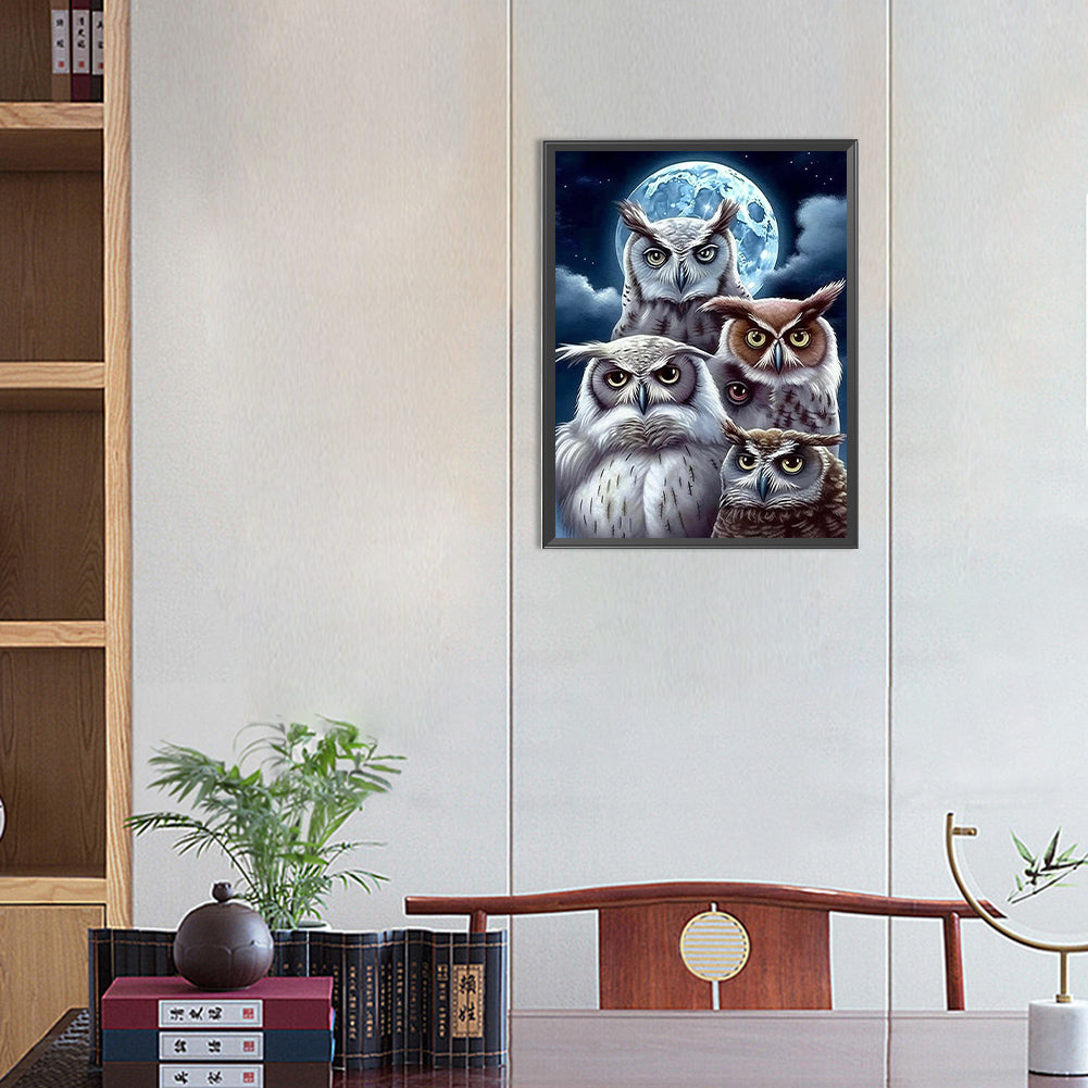 Owl - Full Round Drill Diamond Painting 30*40CM