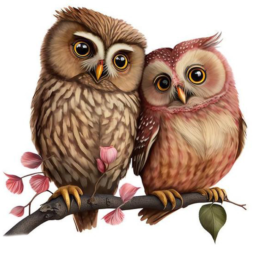 Owl - Full Round Drill Diamond Painting 30*30CM