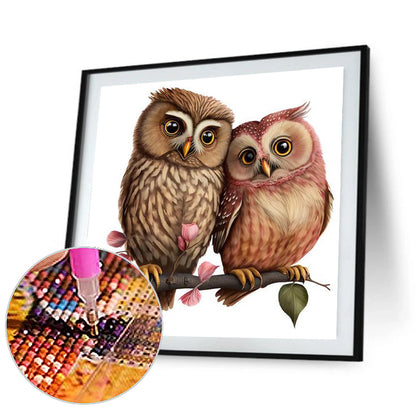 Owl - Full Round Drill Diamond Painting 30*30CM
