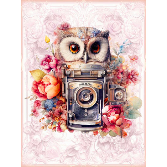 Owl With Camera - Full Round Drill Diamond Painting 30*40CM