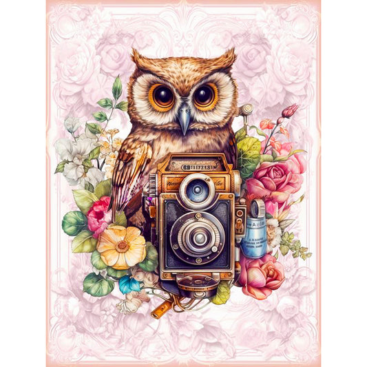 Owl With Camera - Full Round Drill Diamond Painting 30*40CM