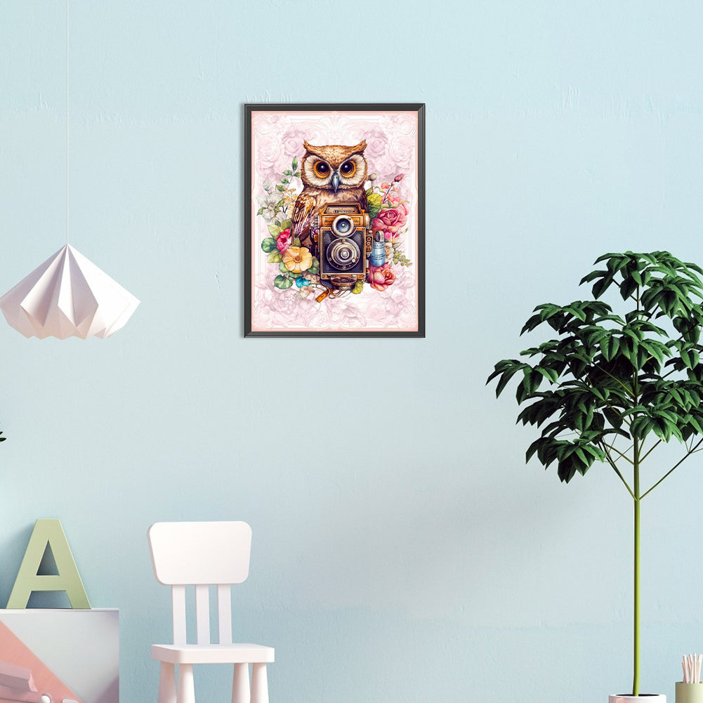 Owl With Camera - Full Round Drill Diamond Painting 30*40CM