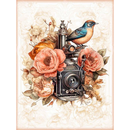 Bird And Camera - Full Round Drill Diamond Painting 30*40CM