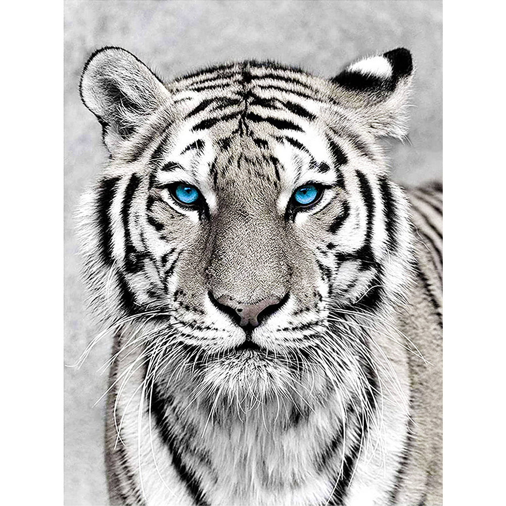 Tiger - Full Round Drill Diamond Painting 30*40CM