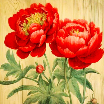 Peony - Full Round Drill Diamond Painting 30*30CM