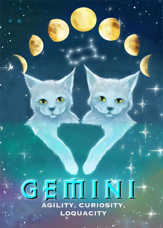 Cosmic Gemini Zodiac Cat - Full Round Drill Diamond Painting 30*40CM