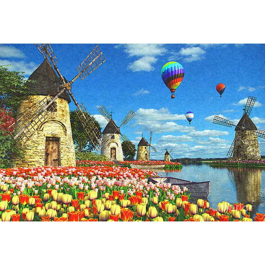 House - Full Round Drill Diamond Painting 40*50CM